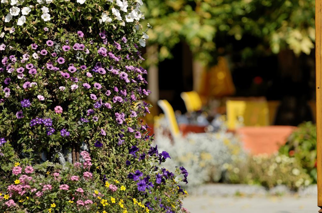 Beausite Hotel 3*